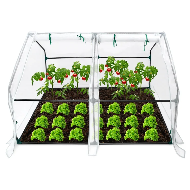 Kleines Gewächshaus 140g/m² HDPE 180x90x90cm Mini Gewächshaus Mit 2 Rollladen Regenschutz UV-beständig Frostbeständig für Garten Balkon (Grün) – Bild 9