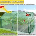 Kleines Gewächshaus 140g/m² HDPE 180x90x90cm Mini Gewächshaus Mit 2 Rollladen Regenschutz UV-beständig Frostbeständig für Garten Balkon (Grün) - Thumbnail 4