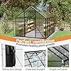 Gewächshaus Aluminium Gartengewächshäuser mit 6 cm Fundament und 4 mm PC Platte Treibhaus Tomatenhaus Gartenhaus UV beständig Wetterfest für Garten, 310x250x205 cm - Thumbnail 2