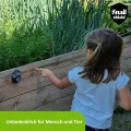 Snail Shield - Schneckenzaun Elektrisch Set für Hochbeet mit 11m Zaunband, Schneckenschutz für Gärten, Gemüsebeet, Pflanzen, Einfache Installation, verbesserte Software 2026 (Made in EU) - Thumbnail 7