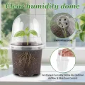 RooTrimmer 60 transparente Pflanztöpfe mit Feuchtigkeitskuppeln, 10,2 cm, Kunststoff-Pflanztöpfe mit Drainagelöchern für Setzlinge, transparenter Samen-Starttopf für Stecklinge, Anzucht - Thumbnail 2