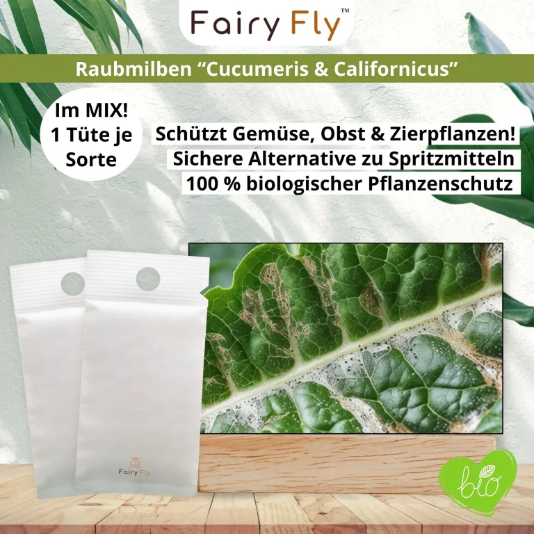 Raubmilben Mix gegen Thripse & Spinnmilben – 2 Tüten (1 x Cucumeris + 1 x Californicus) – Nützlinge für Zimmerpflanzen & Gewächshaus – biologisch & chemiefrei – Bild 4