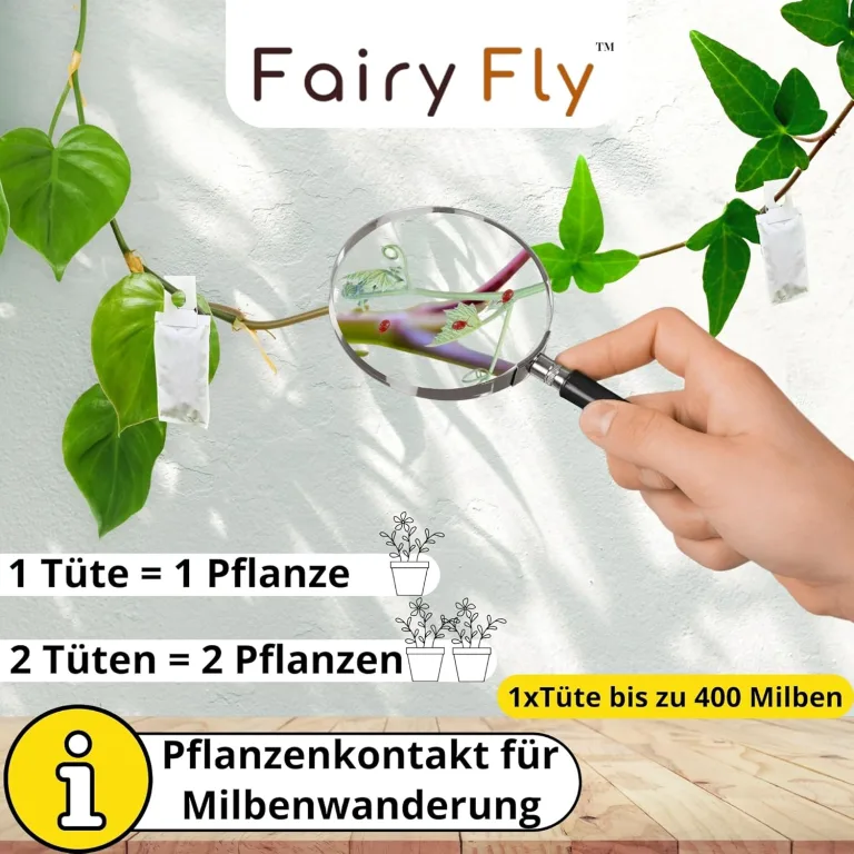 Raubmilben Mix gegen Thripse & Spinnmilben – 30 Tüten (15 x Cucumeris + 15 x Californicus) – Nützlinge für Zimmerpflanzen & Gewächshaus – biologisch & chemiefrei – Bild 4