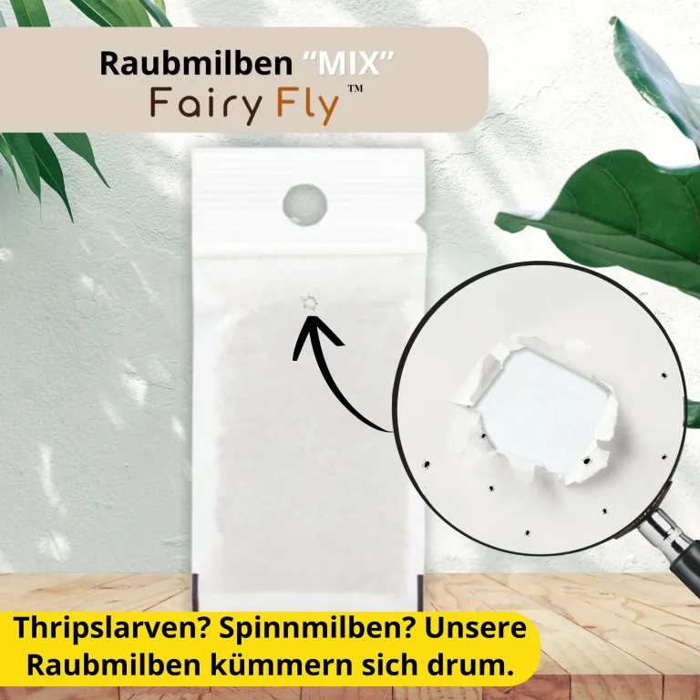 Raubmilben Mix gegen Thripse & Spinnmilben – 6 Tüten (3 x Cucumeris + 3 x Californicus) – Nützlinge für Zimmerpflanzen & Gewächshaus – biologisch & chemiefrei – Bild 2