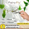 Raubmilben Mix gegen Thripse & Spinnmilben – 6 Tüten (3 x Cucumeris + 3 x Californicus) – Nützlinge für Zimmerpflanzen & Gewächshaus – biologisch & chemiefrei - Thumbnail 5