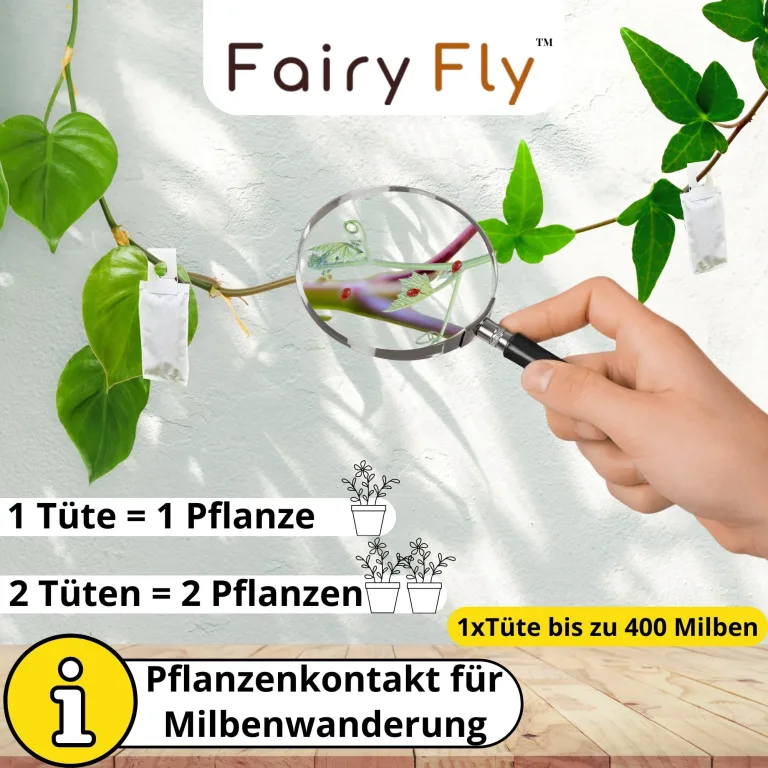 Raubmilben Mix gegen Thripse & Spinnmilben – 50 Tüten (25 x Cucumeris + 25 x Californicus) – Nützlinge für Zimmerpflanzen & Gewächshaus – biologisch & chemiefrei – Bild 5