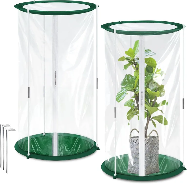 2 Stück Mini Gewächshaus 50x30cm – Überwinterungszelt für Pflanzen – Gewächshaus Klein für Gemüse, Blumen & Pilze – Transparentes Foliengewächshaus Klein, Pop-Up Treibhaus – Bild 2
