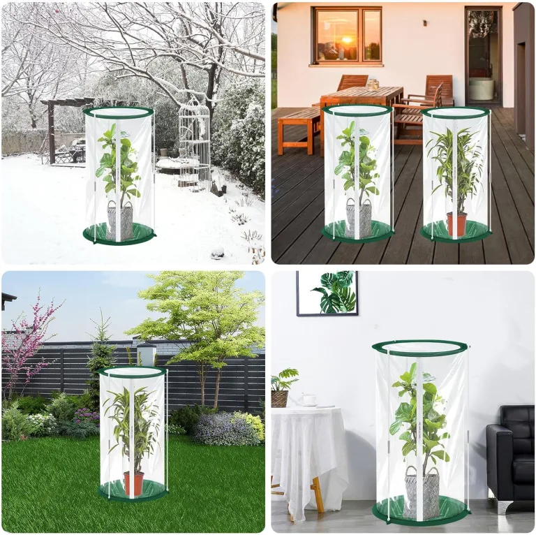 2 Stück Mini Gewächshaus 50x30cm – Überwinterungszelt für Pflanzen – Gewächshaus Klein für Gemüse, Blumen & Pilze – Transparentes Foliengewächshaus Klein, Pop-Up Treibhaus – Bild 8