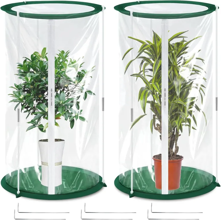 2 Stück Mini Gewächshaus 50x30cm – Überwinterungszelt für Pflanzen – Gewächshaus Klein für Gemüse, Blumen & Pilze – Transparentes Foliengewächshaus Klein, Pop-Up Treibhaus – Bild 1