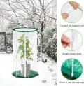 2 Stück Mini Gewächshaus 50x30cm – Überwinterungszelt für Pflanzen – Gewächshaus Klein für Gemüse, Blumen & Pilze – Transparentes Foliengewächshaus Klein, Pop-Up Treibhaus - Thumbnail 4