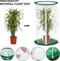 2 Stück Mini Gewächshaus 50x30cm – Überwinterungszelt für Pflanzen – Gewächshaus Klein für Gemüse, Blumen & Pilze – Transparentes Foliengewächshaus Klein, Pop-Up Treibhaus - Thumbnail 5