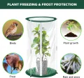 2 Stück Mini Gewächshaus 50x30cm – Überwinterungszelt für Pflanzen – Gewächshaus Klein für Gemüse, Blumen & Pilze – Transparentes Foliengewächshaus Klein, Pop-Up Treibhaus - Thumbnail 6