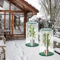 2 Stück Mini Gewächshaus 50x30cm – Überwinterungszelt für Pflanzen – Gewächshaus Klein für Gemüse, Blumen & Pilze – Transparentes Foliengewächshaus Klein, Pop-Up Treibhaus - Thumbnail 7