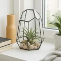 Relaxdays Pflanzenterrarium, Glas & Zinn, Deko Glashaus für Kakteen & Moos, offener Glaskasten für Fensterbank, schwarz - Thumbnail 3