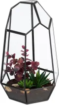 Relaxdays Pflanzenterrarium, Glas & Zinn, Deko Glashaus für Kakteen & Moos, offener Glaskasten für Fensterbank, schwarz - Thumbnail 1
