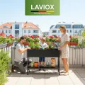 LAVIOX 3-Fach höhenverstellbares rollbares Hochbeet | Pflanzenständer | aus Metall in schwarz – B 80cm, T 25cm, H 60/70/80 cm – rostfrei, wetterfest, Indoor/Outdoor, für Gemüse, Kräuter, Pflanzen - Thumbnail 7