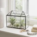 Relaxdays Pflanzenterrarium, Glas & Zinn, Deko Glashaus für Kakteen & Moos, Glaskasten für Fensterbank, schwarz - Thumbnail 3