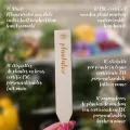 Plantaluz Bio Premium Saatgut Set P01 – 10 Sorten Tomaten & Kräuter Anzuchtset für Garten, Balkon & Indoor – inkl. FSC-Pflanzstäbchen – samenfestes, ungebeiztes & gentechnikfreies Saatgut - Thumbnail 6