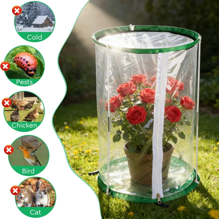 3 x Gewächshaus Klein 55cm x 30cm PVC Treibhaus Pflanzenschutz Schädlingsbekämpfung Portable mit 18 Erdanker für Kübelpflanzen Topfpflanzen – Bild 4
