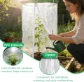 3 x Gewächshaus Klein 55cm x 30cm PVC Treibhaus Pflanzenschutz Schädlingsbekämpfung Portable mit 18 Erdanker für Kübelpflanzen Topfpflanzen - Thumbnail 3