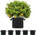 5 Stück 22L Vliesstoff Pflanzsack mit Griffe - Wiederverwendbare Pflanztasche für Tomaten, Kartoffeln, Erdbeeren, Gemüse, Blumen - Geeignet für Garten, Gewächshaus, Balkon, Terrasse - Thumbnail 9