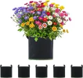 5 Stück 22L Vliesstoff Pflanzsack mit Griffe - Wiederverwendbare Pflanztasche für Tomaten, Kartoffeln, Erdbeeren, Gemüse, Blumen - Geeignet für Garten, Gewächshaus, Balkon, Terrasse - Thumbnail 10