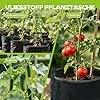 5 Stück 22L Vliesstoff Pflanzsack mit Griffe - Wiederverwendbare Pflanztasche für Tomaten, Kartoffeln, Erdbeeren, Gemüse, Blumen - Geeignet für Garten, Gewächshaus, Balkon, Terrasse - Thumbnail 2