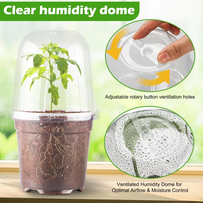 RooTrimmer Transparente Pflanztöpfe mit Feuchtigkeitskuppel, 15,2 cm, 30 Stück, wiederverwendbarer Samen-Startertopf mit Drainagelöchern, transparenter Kunststoff-Pflanzentöpfe für Anzucht – Bild 3