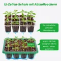 Bonviee Zimmergewächshaus Anzuchtkasten anzuchttöpfe, 10 Stück 120 Zellen Mini Gewächshaus Klein Anzuchtset Anzuchtplatte Anzuchtschale mit Belüftung und Bruchsicherer Deckel für Sämling Pflanze, Grün - Thumbnail 5