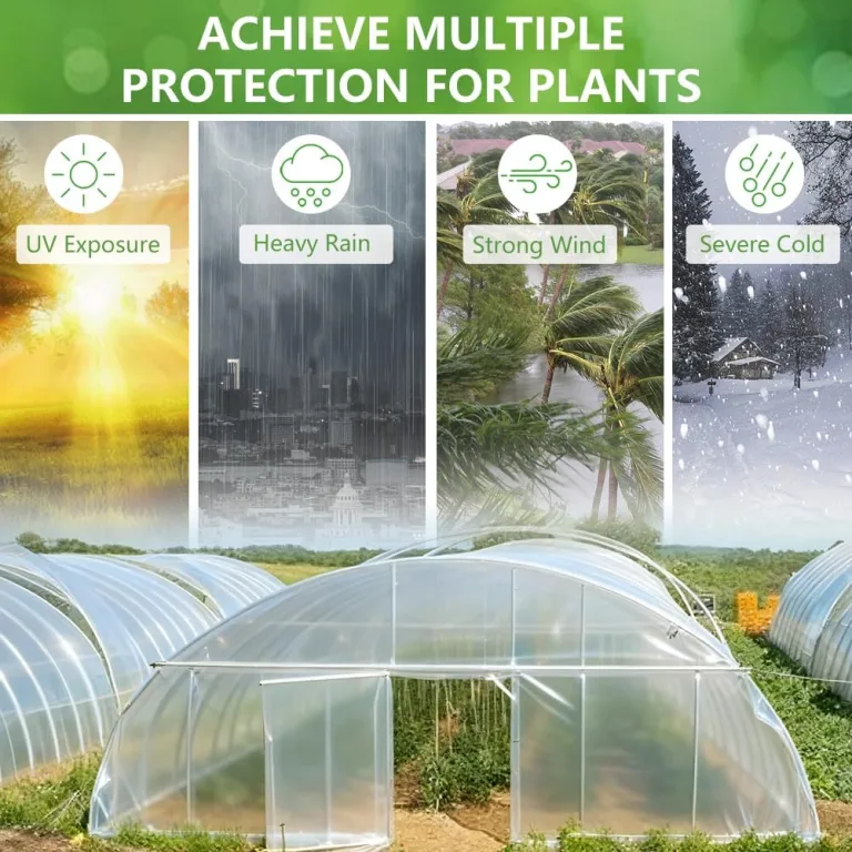 Transparent Gewächshausfolie, 2 x 10M Folie für Gewächshaus Winterfest Extra Dick Reißfest Polyethylen Gartenfolie, Plastikfoliefür Folientunnel für Gartenarbeit Tomatenhaus Treibhaus – Bild 4