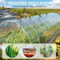 Transparent Gewächshausfolie, 2 x 10M Folie für Gewächshaus Winterfest Extra Dick Reißfest Polyethylen Gartenfolie, Plastikfoliefür Folientunnel für Gartenarbeit Tomatenhaus Treibhaus - Thumbnail 5