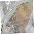 UPKOCH 3 Stück Teiliges Gewächshaus bogenstahlrohr Kunststoffbeschichtung Robustes Gartenstützgestell für Frostschutz Insektenschutz und Mini gewächshaus Öffnungsbreite Wiederverwendbar - Thumbnail 7