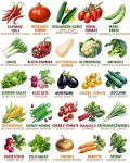Bio Gemüsesamen im 25er Set - 25 Gemüse Samen für den einfachen Anbau im Garten, Balkon oder Hochbeet - Pflanzensamen - Saatgut - Thumbnail 5