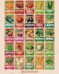 Bio Gemüsesamen im 25er Set - 25 Gemüse Samen für den einfachen Anbau im Garten, Balkon oder Hochbeet - Pflanzensamen - Saatgut - Thumbnail 8