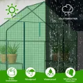 LEADZM Gewächshaus mit UV-beständiger PE-Gitterfolie，4 Metallablagegittern, Sturm-Winterfest, Schutz vor Kälte,Frost, Anzucht für Tomaten & Pflanzen, Balkon Garten (Grün, 142 x 74 x 196 cm) - Thumbnail 5