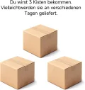 Aluminium Gewächshaus mit Fundament – 361*238*210 cm, Treibhaus, Tomatengewächshaus, Frühbeet, Greenhouse Grau - Thumbnail 8