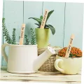 NOLITOY 50 Stück Wetterfeste Holz Pflanzenschilder Stecketiketten zum Beschriften für Garten Blumen Gemüse Kräuter Geeignet für Töpfe Beete Gewächshaus und Außenbereiche - Thumbnail 8
