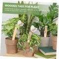 NOLITOY 50 Stück Wetterfeste Holz Pflanzenschilder Stecketiketten zum Beschriften für Garten Blumen Gemüse Kräuter Geeignet für Töpfe Beete Gewächshaus und Außenbereiche - Thumbnail 3