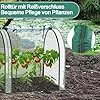 Gewächshaus, 180*90*90 cm Winterzelt für Pflanzen Frostschutz, Schrägdachstil Foliengewächshaus mit Gitternetzfolie, Hochbeet mit Abdeckung, Anzuchthaus für Garten zur Aufzucht, Grün – Bild 2