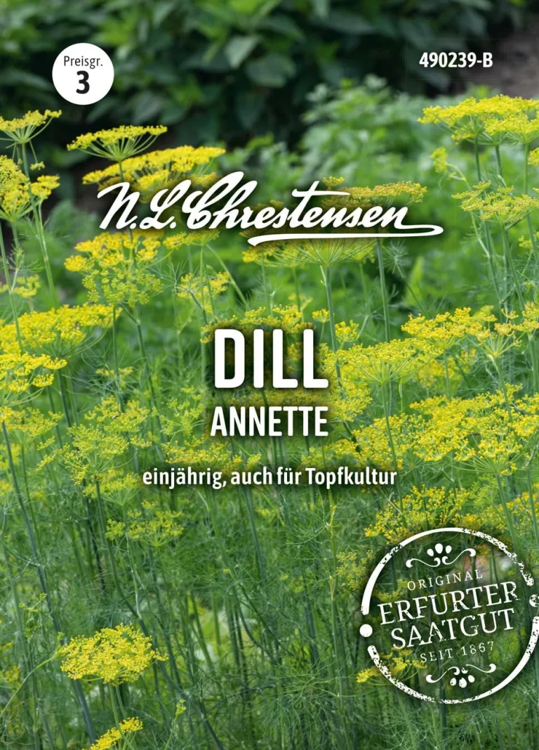 Chrestensen Saatgut Dill Annette – Bild 2