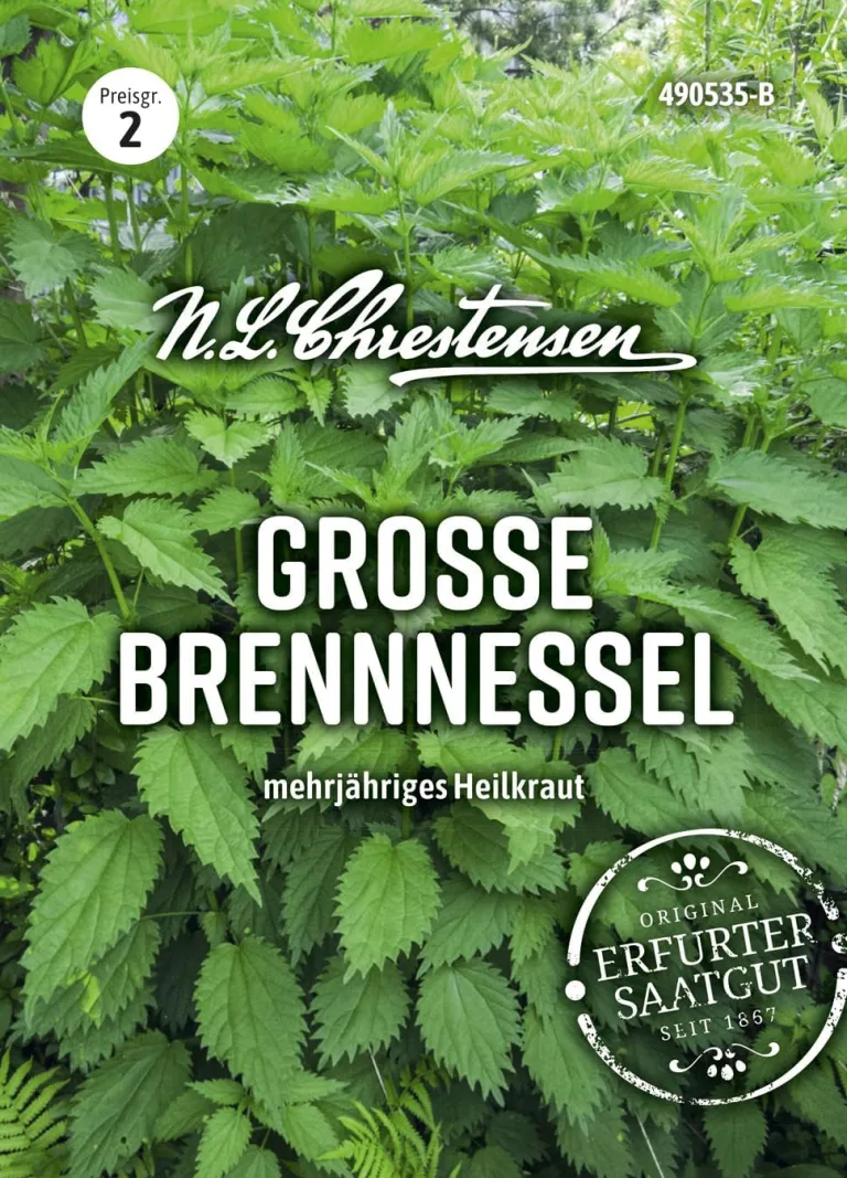 Chrestensen Saatgut Große Brennnessel – Bild 1