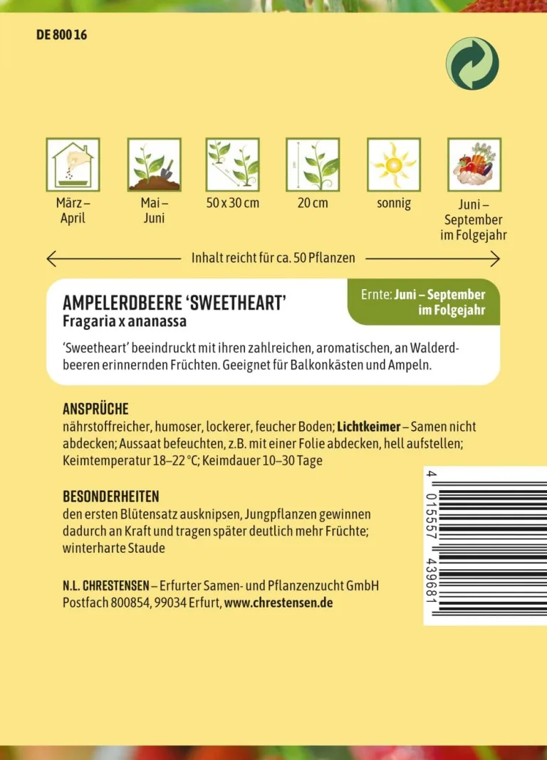 Chrestensen Saatgut Ampelerdbeere SweetheartaChrestensen Ampelerdbeere Sweetheart Samen - Hänge-Erdbeere Saatgut - Mehrfachtragend - Für Garten Balkon Ampel - Fragaria ananassa - Samenfest – Bild 3