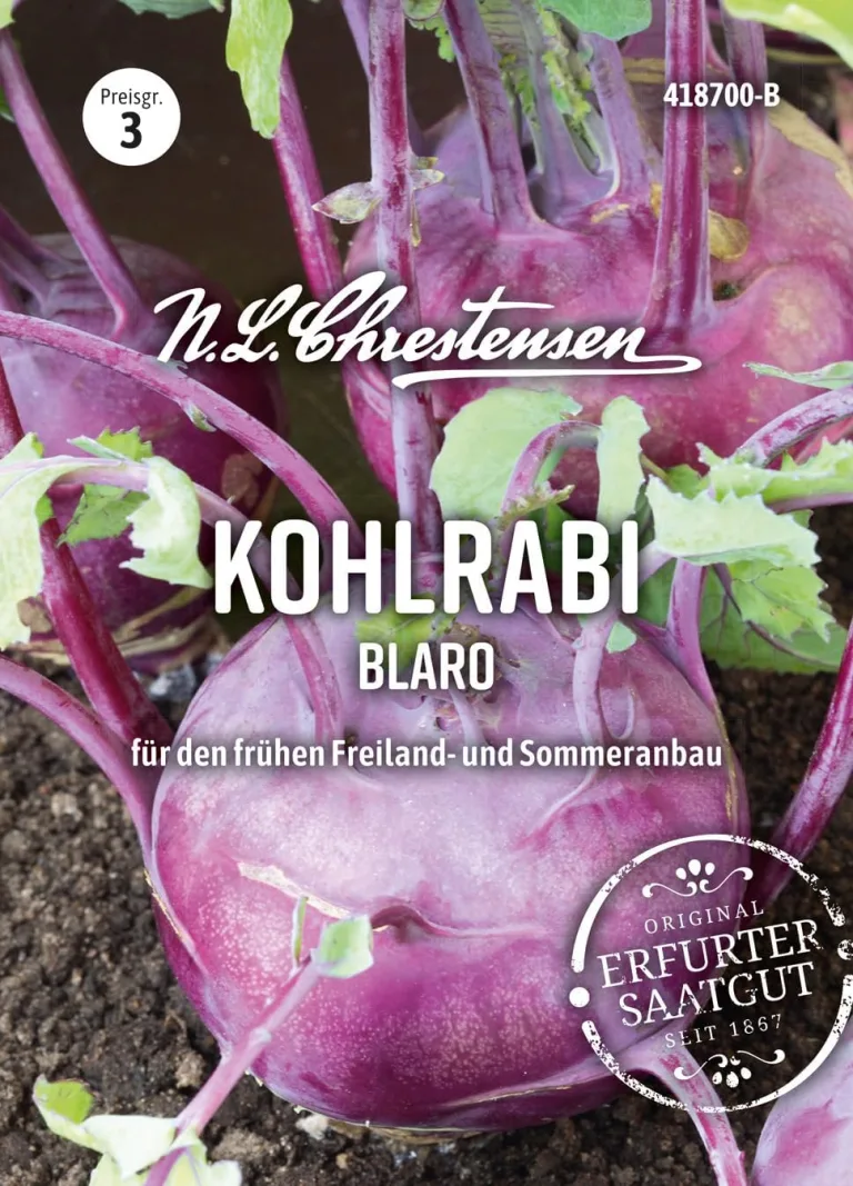 Chrestensen Saatgut Kohlrabi Blaro – Bild 1