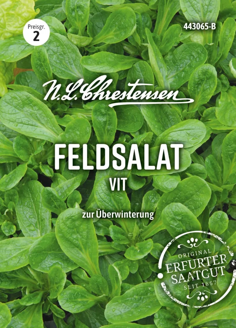 Chrestensen Saatgut Grünkohl Westländer halbhoher – Bild 10