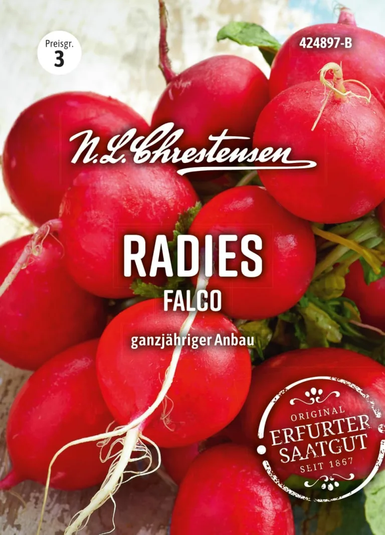 Chrestensen Saatgut Grünkohl Westländer halbhoher – Bild 12