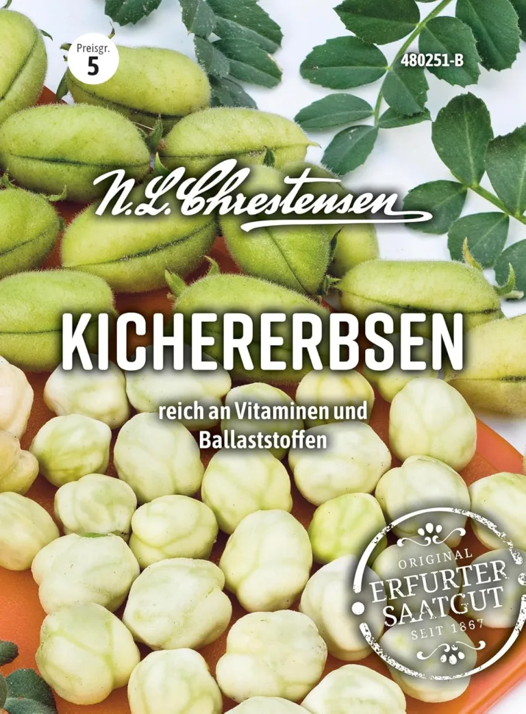 Chrestensen Saatgut Grünkohl Westländer halbhoher – Bild 4