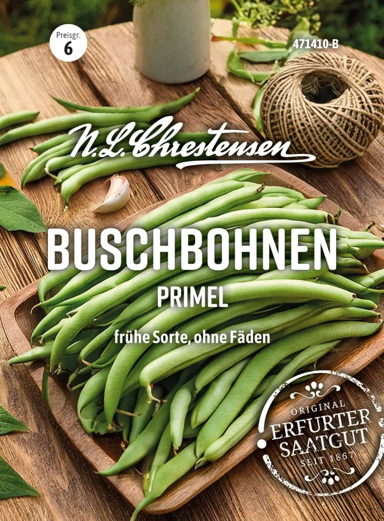Chrestensen Feldsalat Vit Samen - Winterhart schnellwüchsig - Vitamin C und A - Für Herbst Winter Freiland Gewächshaus - Valerianella locusta - Samenfest – Bild 13