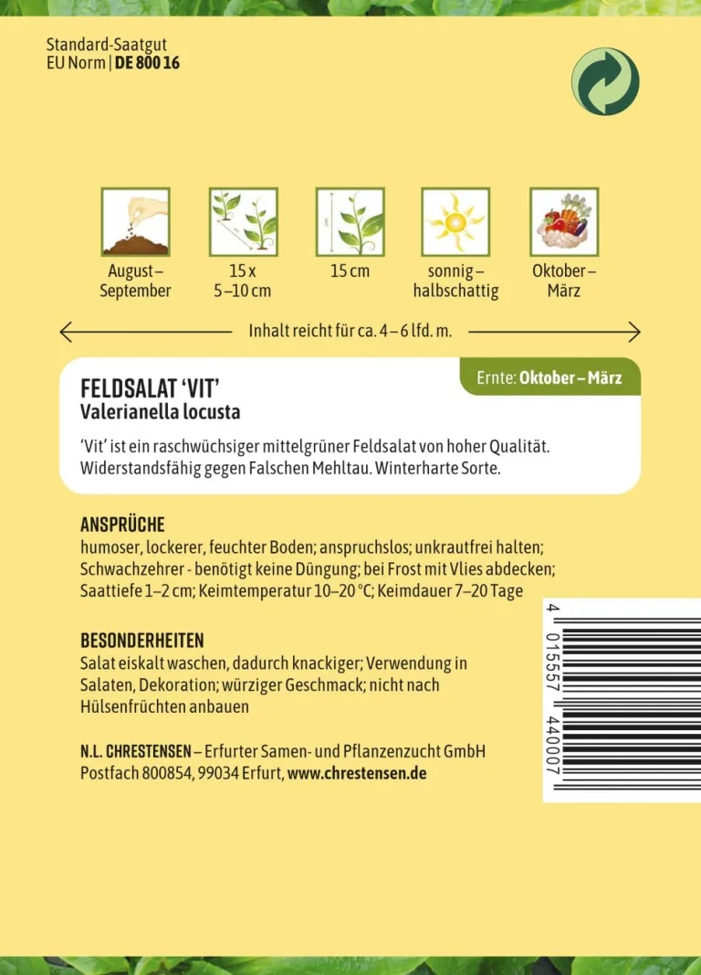 Chrestensen Feldsalat Vit Samen - Winterhart schnellwüchsig - Vitamin C und A - Für Herbst Winter Freiland Gewächshaus - Valerianella locusta - Samenfest – Bild 3