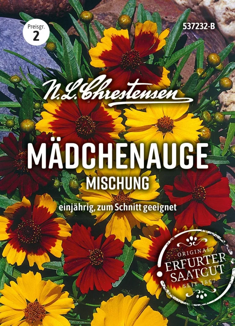 Chrestensen Feldsalat Vit Samen - Winterhart schnellwüchsig - Vitamin C und A - Für Herbst Winter Freiland Gewächshaus - Valerianella locusta - Samenfest – Bild 5