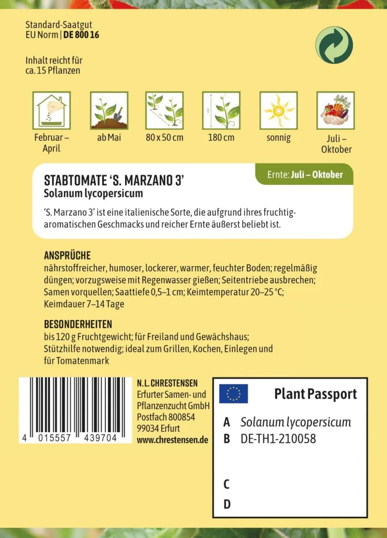 Chrestensen Cherrytomate Solena Orange F1 veredelt - 3 Pflanzen - Süße orangefarbene Tomaten - Für Garten Gewächshaus Balkon - Hoher Ertrag – Bild 3